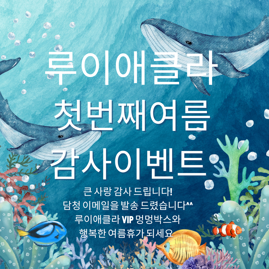 루이애클라 첫썸머 VIP 감사 멍멍박스
