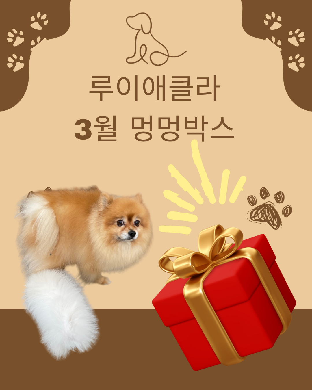 루이애클라 3월 멍멍박스