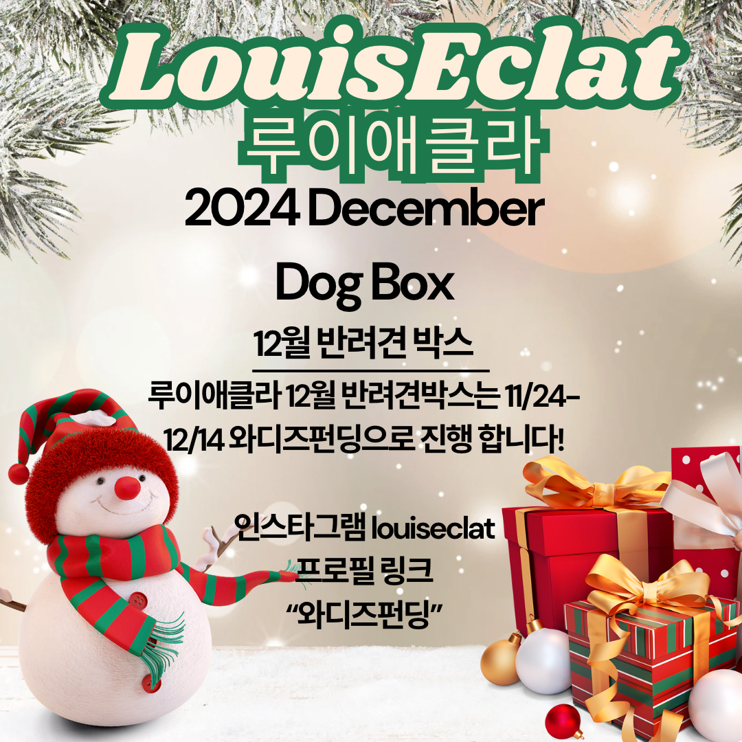 루이애클라 반려견 구독박스 2024-12