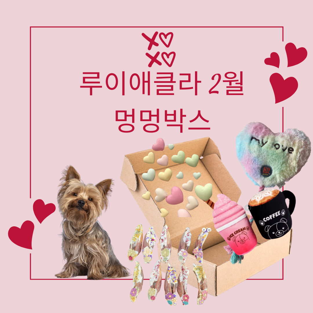 루이애클라 2월 멍멍박스