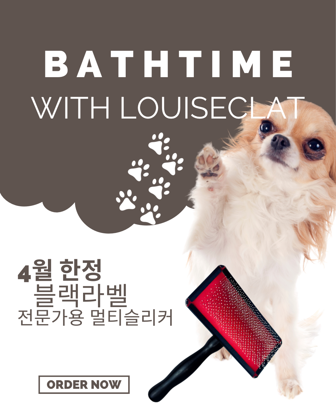 4월 한정판! 루이애클라 블랙라벨 멀티슬리커 선물