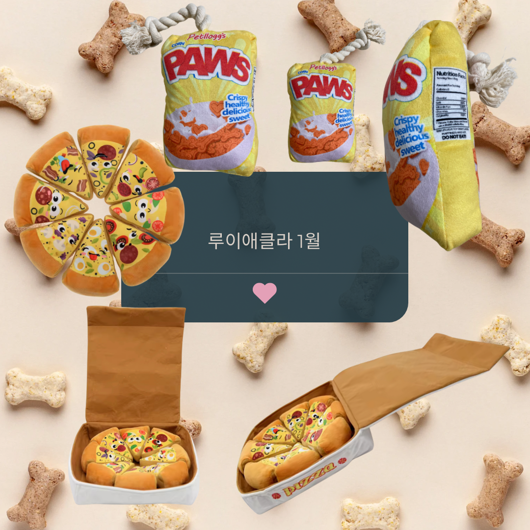 루이애클라 1월 멍멍구독박스