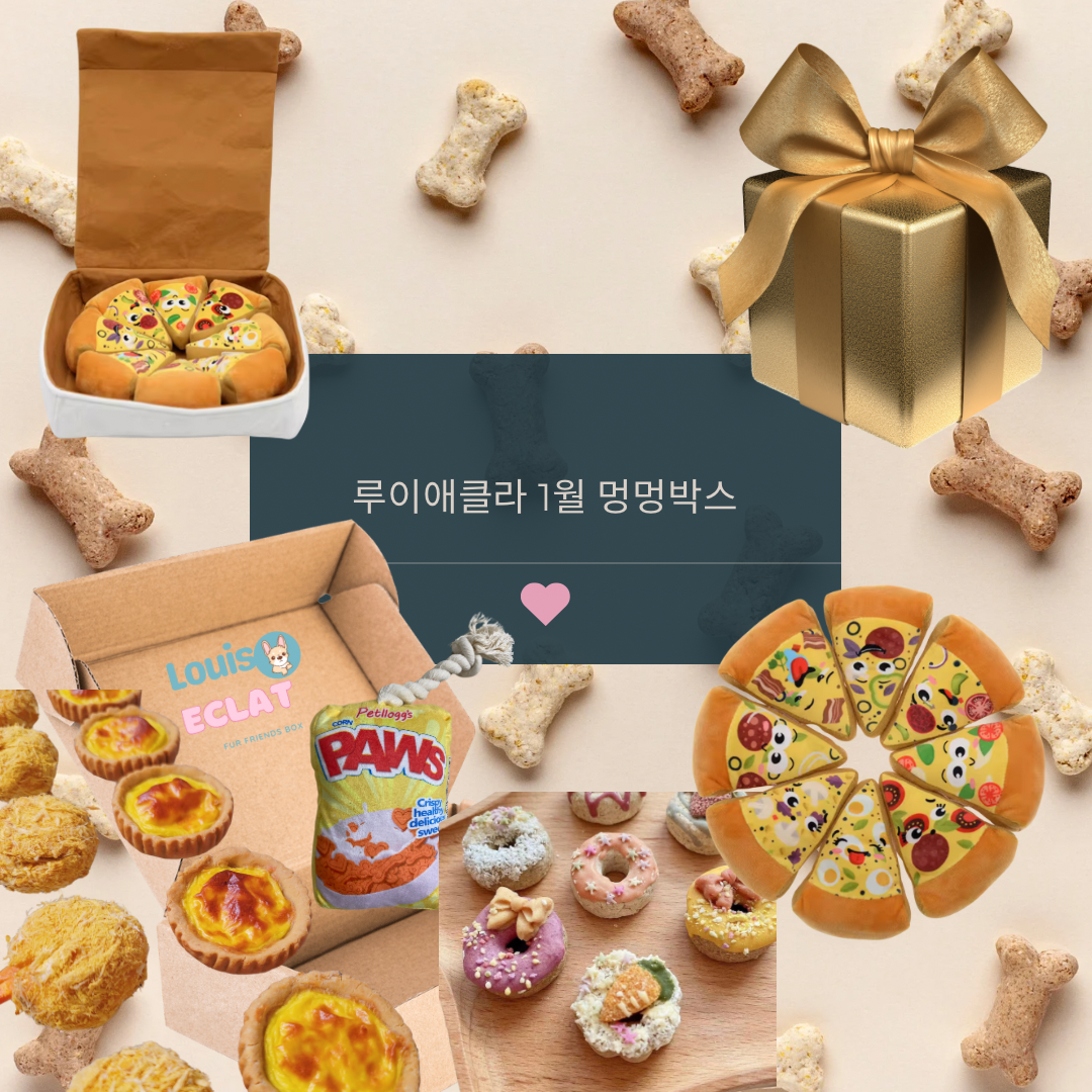 루이애클라 1월 멍멍구독박스