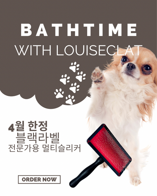 4월 한정판! 루이애클라 블랙라벨 멀티슬리커 선물