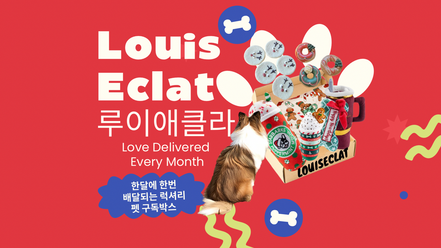 루이애클라 반려견 구독박스 2024-12